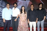 Saripodhaa Sanivaaram Movie Press Meet